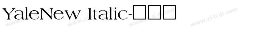 YaleNew Italic字体转换
